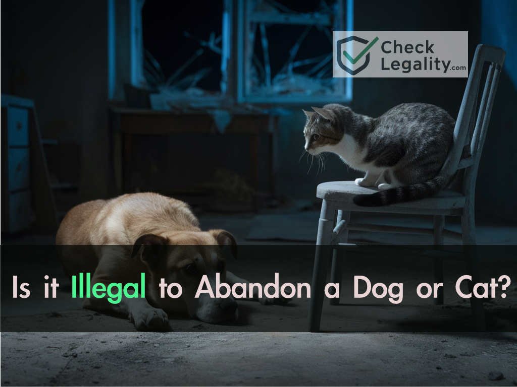 is it illegal to abandon a dog or a cat